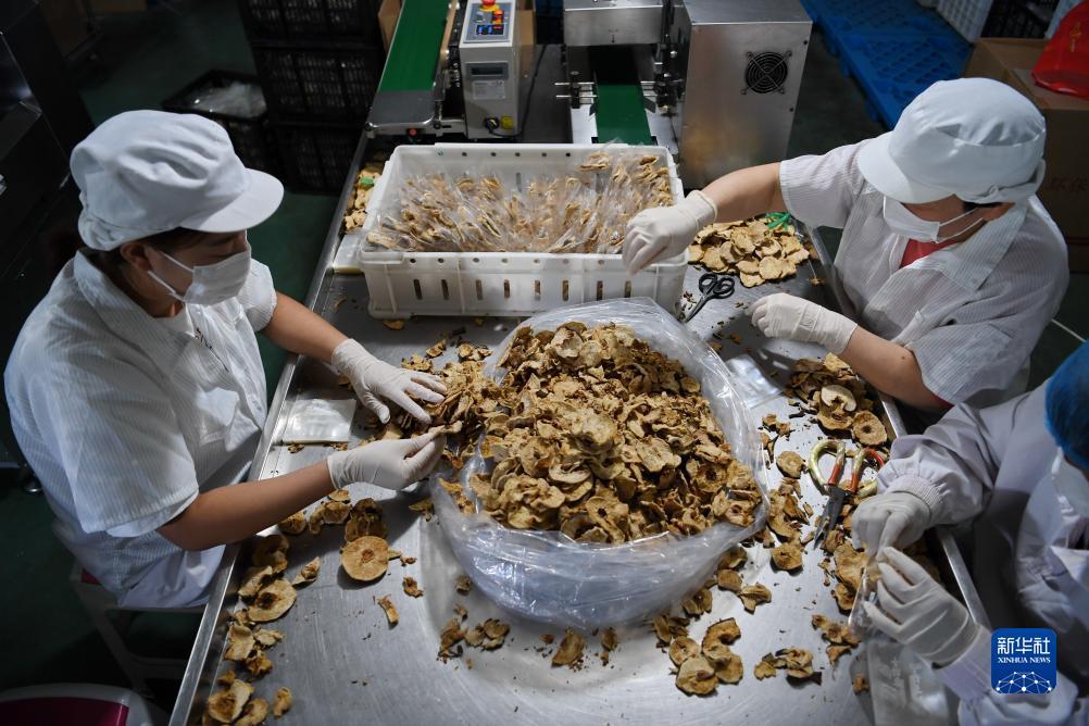 新世纪网域名